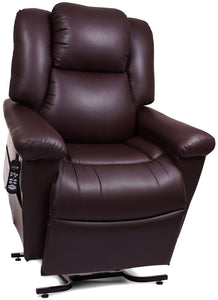 Day Dreamer Recliner Chair, Lift Chair - Scooters and more